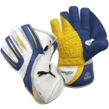 Wicket Keeping Gloves